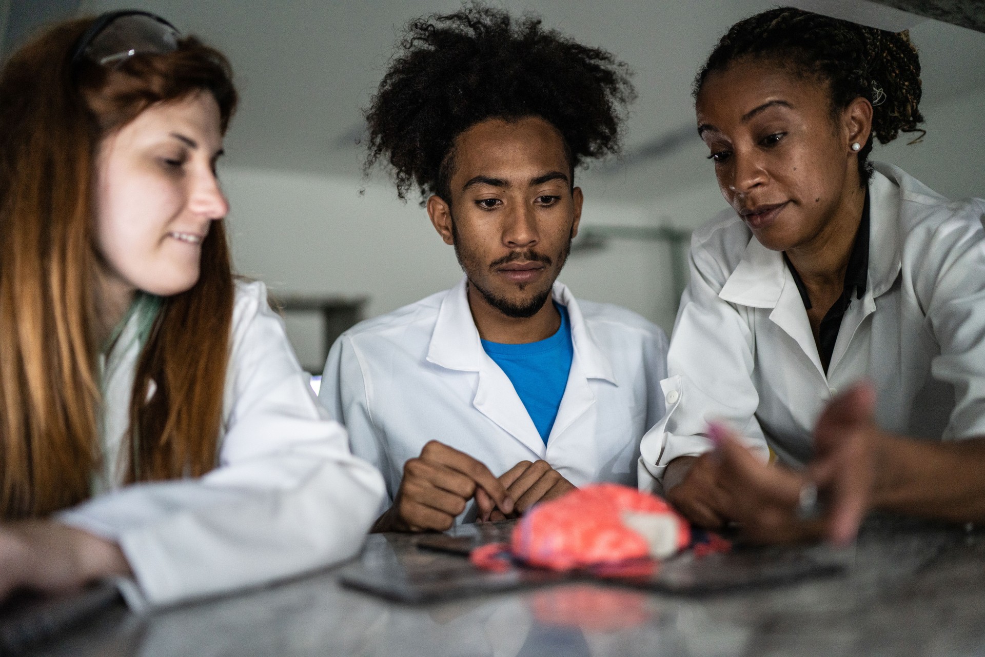 Colleagues analyzing brain model with teacher in the lab